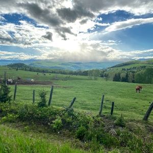 Meet your Posher, Florence